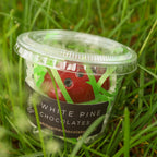Lady Bug Teacher Gift - IN STOCK