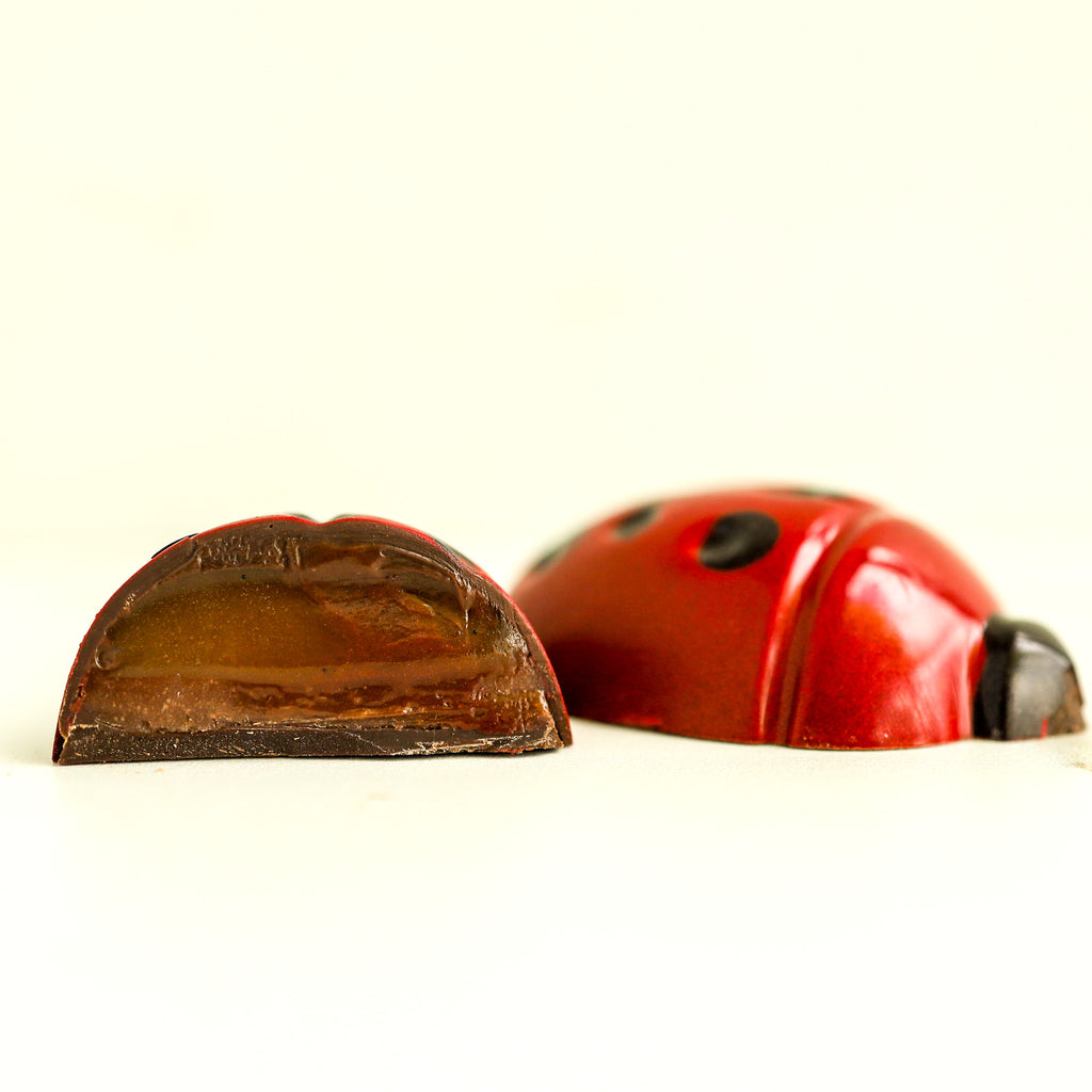 Lady Bug Teacher Gift - IN STOCK